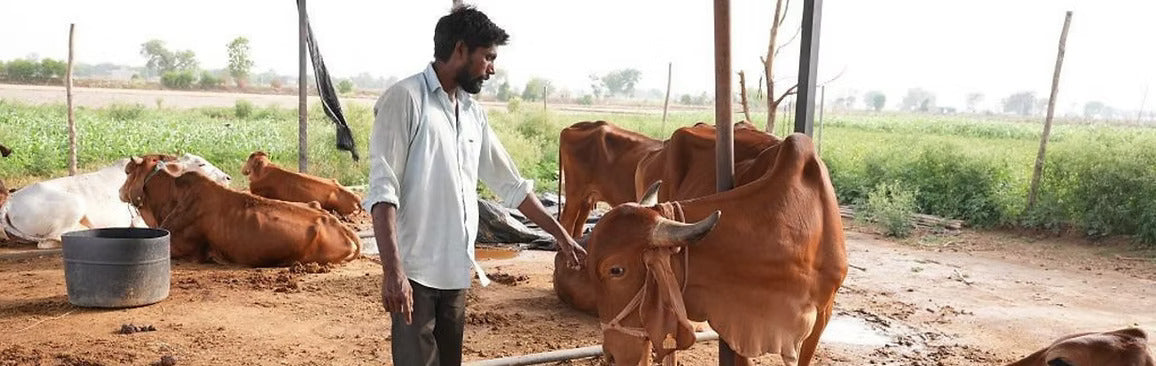 What we Teach our Farmers